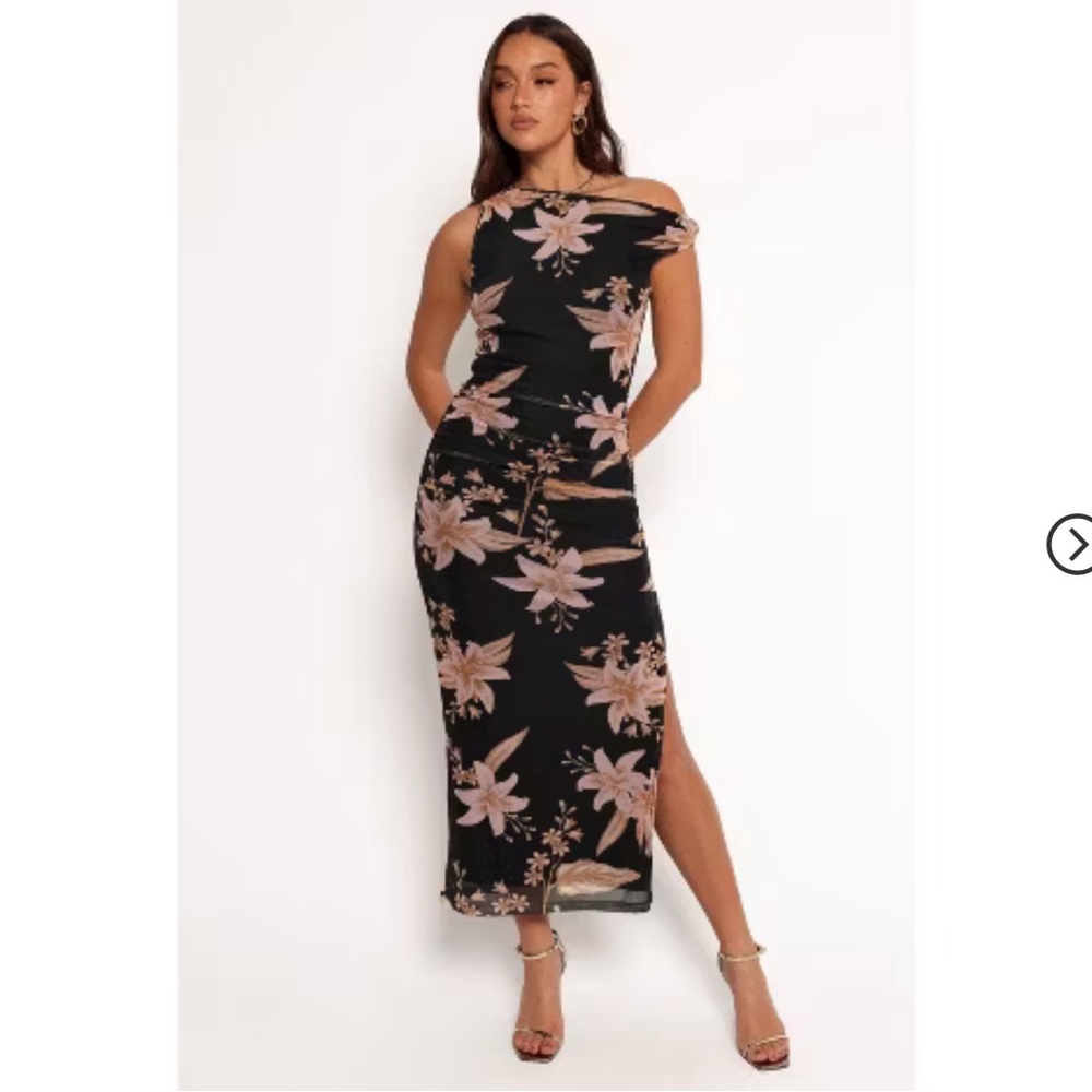 Petal & Pup Black Maxi Dress with Blush Floral Print